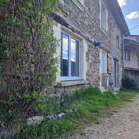 Des Catalpas Vollore-Ville