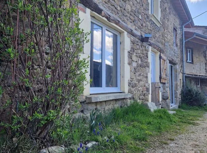 Des Catalpas Vollore-Ville