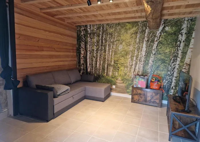 Des Catalpas Vollore-Ville